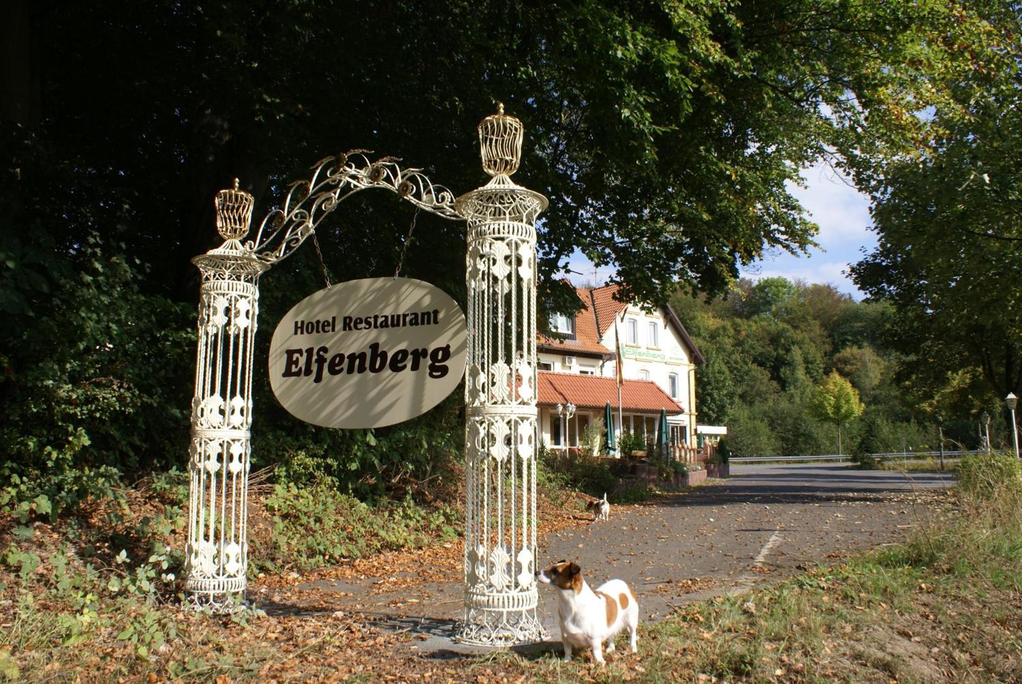 Hotel Elfenberg Schieder-Schwalenberg Exterior foto